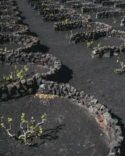 Accommodation Lanzarote​ Three handpicked holiday homes, one unforgettable Lanzarote experience (4)